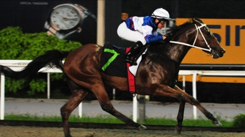 Sing when you're winning in Singapore