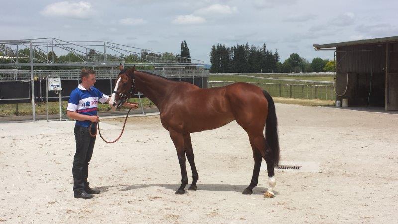 M &amp; M on the edge of glory