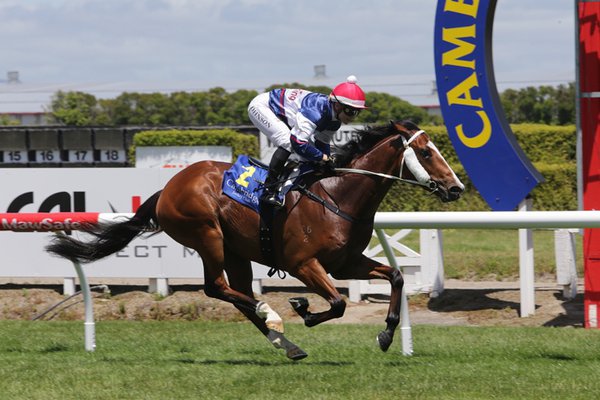 Billy gets his Mojo back