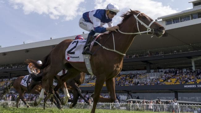 Wanted: owners for classy European stayers