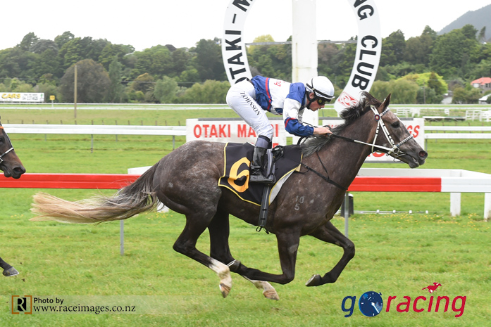 Flying filly Sentimental Miss contests Lowland Stakes
