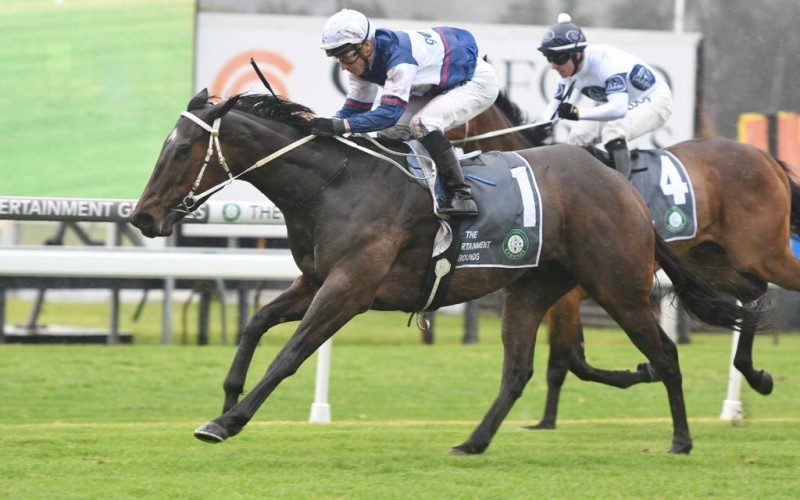 Campari on the comeback in Tauranga Classic