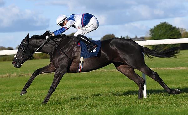 Soul of Spain the latest Irish winner for Go Racing