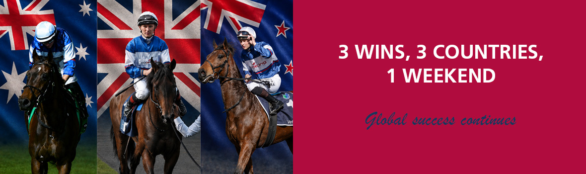 three-countries-banner